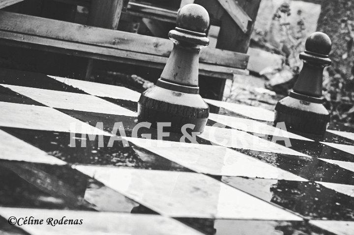 ©cel-t-531.jpg