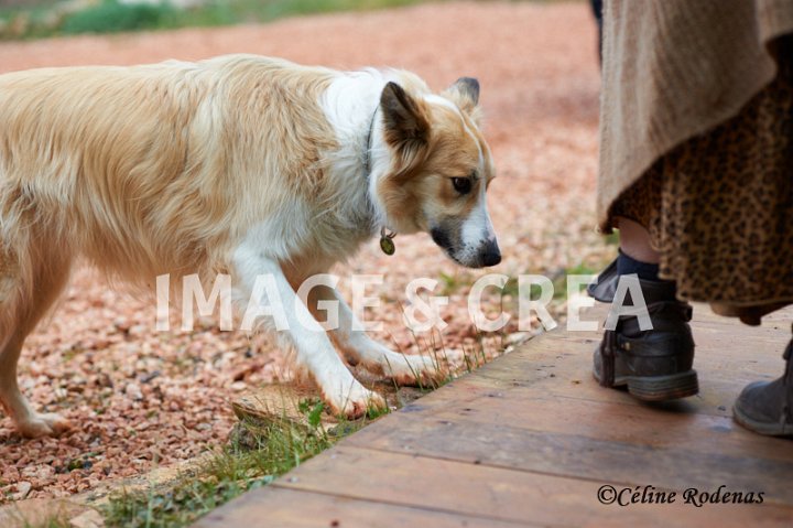 ©cel-t-629.jpg