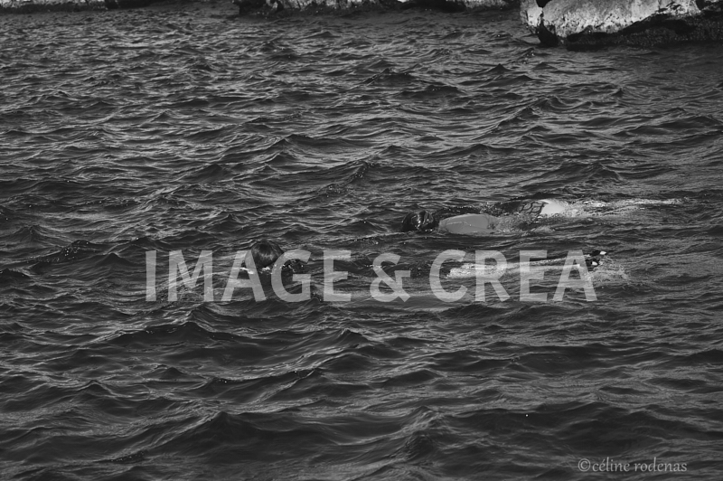 ©cel-gb086.jpg