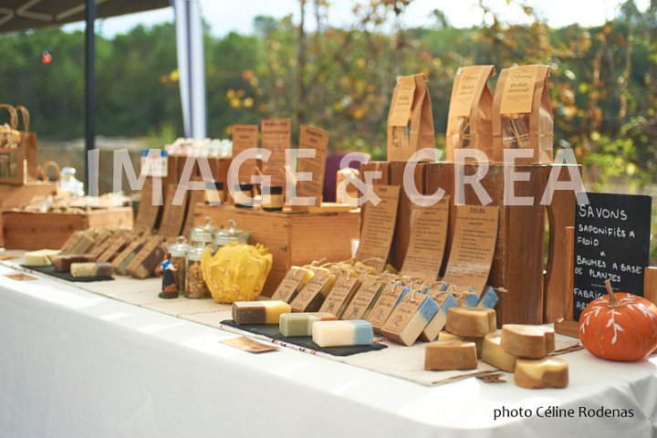 024©cel-tc-006.jpg