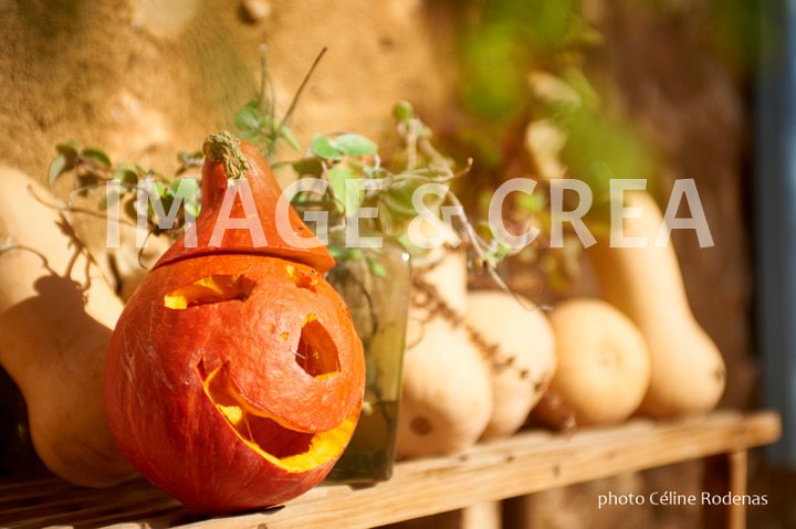 044©cel-tc-018.jpg