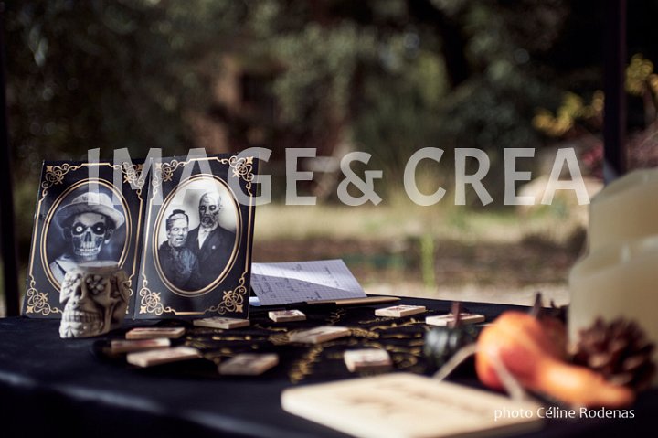 045©cel-tc-019.jpg