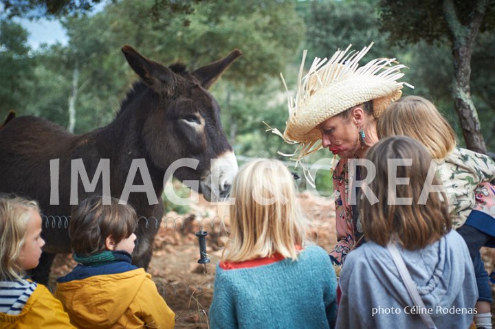 213©cel-tc-104.jpg